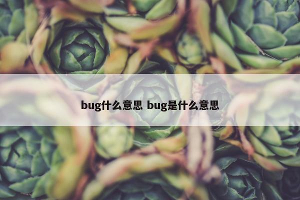 bug什么意思 bug是什么意思