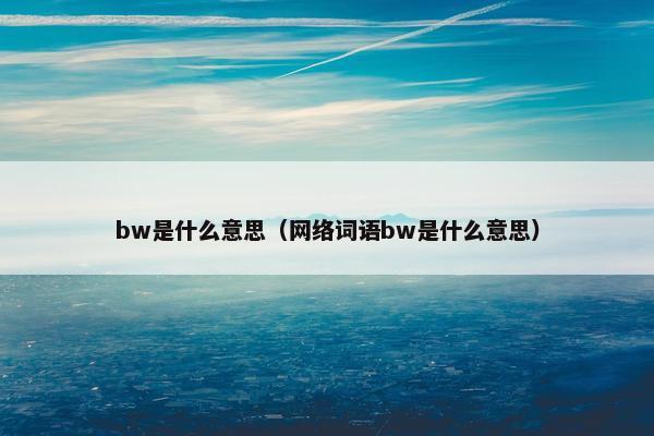 bw是什么意思（网络词语bw是什么意思）