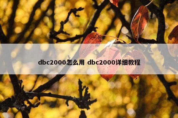 dbc2000怎么用 dbc2000详细教程