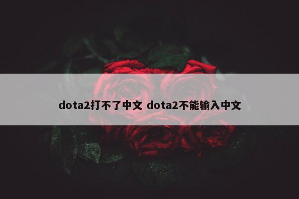 dota2打不了中文 dota2不能输入中文