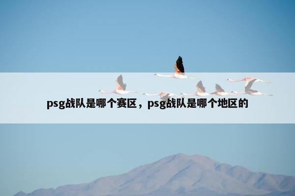 psg战队是哪个赛区，psg战队是哪个地区的