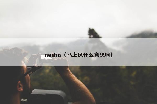 nesha（马上风什么意思啊）