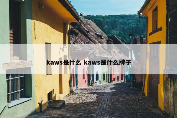 kaws是什么 kaws是什么牌子