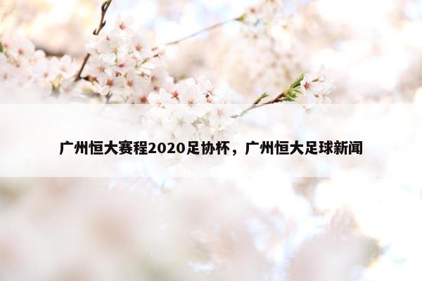 广州恒大赛程2020足协杯，广州恒大足球新闻