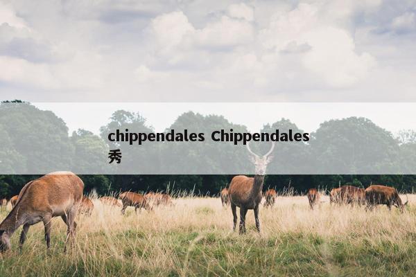 chippendales Chippendales秀