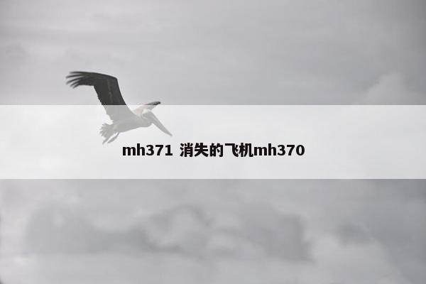 mh371 消失的飞机mh370