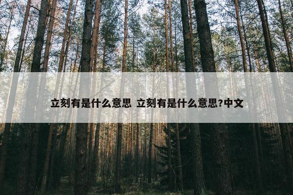 立刻有是什么意思 立刻有是什么意思?中文