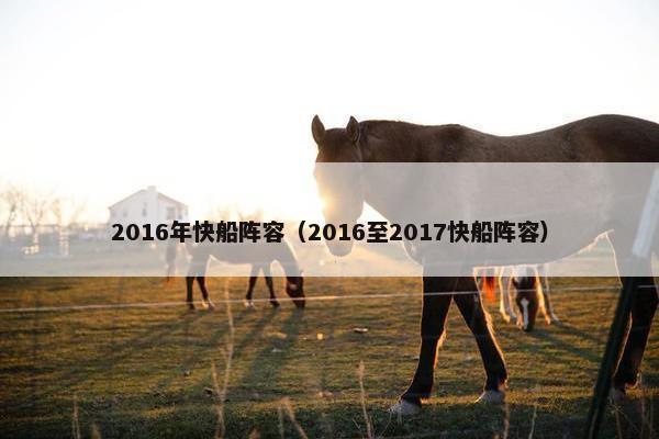 2016年快船阵容（2016至2017快船阵容）