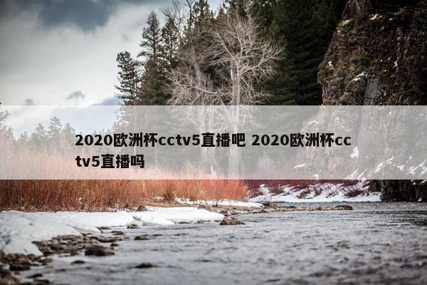 2020欧洲杯cctv5直播吧 2020欧洲杯cctv5直播吗