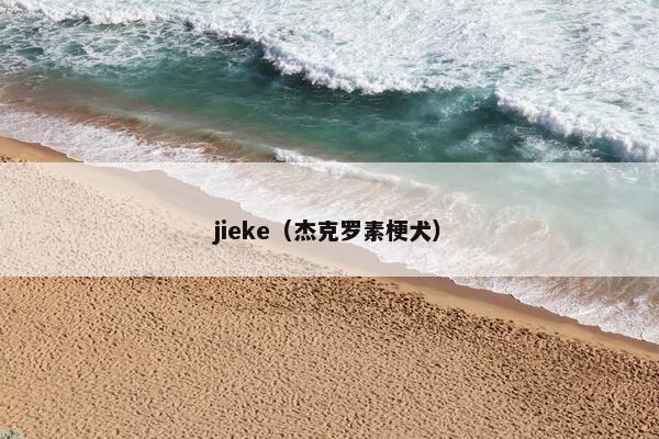 jieke（杰克罗素梗犬）