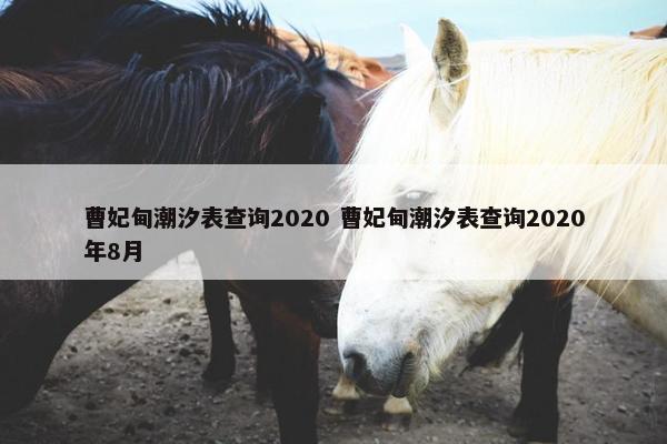 曹妃甸潮汐表查询2020 曹妃甸潮汐表查询2020年8月