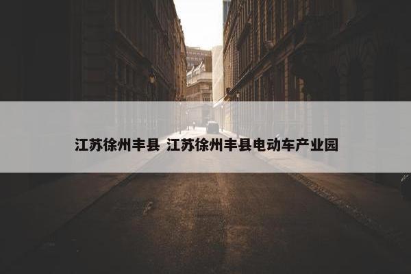 江苏徐州丰县 江苏徐州丰县电动车产业园