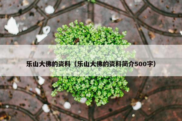 乐山大佛的资料（乐山大佛的资料简介500字）