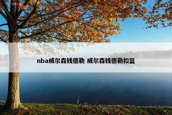 nba威尔森钱德勒 威尔森钱德勒扣篮