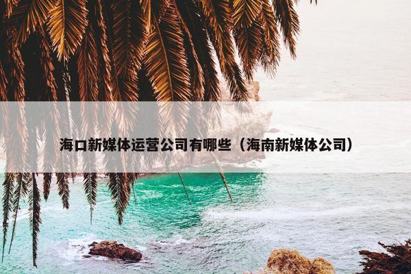 海口新媒体运营公司有哪些（海南新媒体公司）