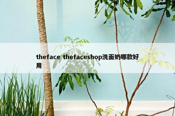 theface thefaceshop洗面奶哪款好用