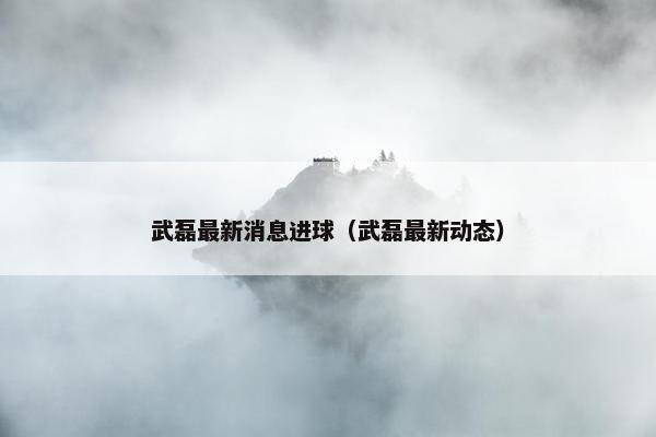 武磊最新消息进球（武磊最新动态）