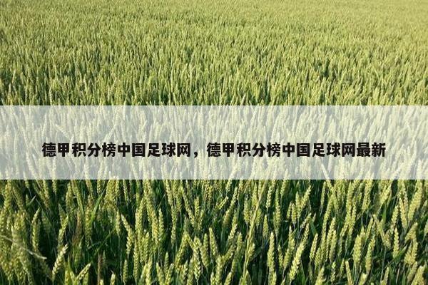 德甲积分榜中国足球网，德甲积分榜中国足球网最新