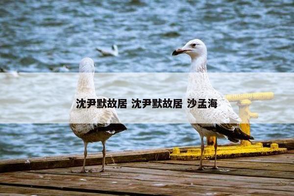 沈尹默故居 沈尹默故居 沙孟海