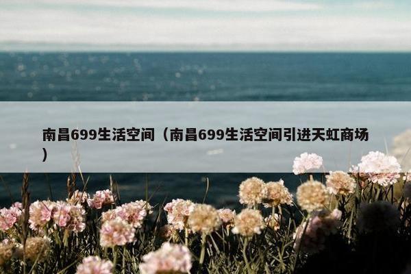 南昌699生活空间（南昌699生活空间引进天虹商场）