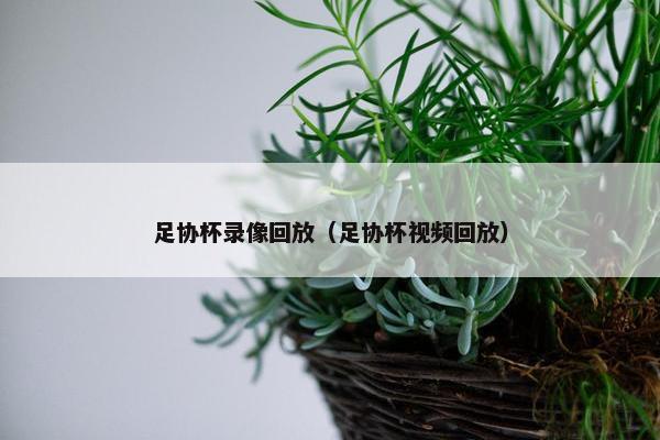 足协杯录像回放（足协杯视频回放）