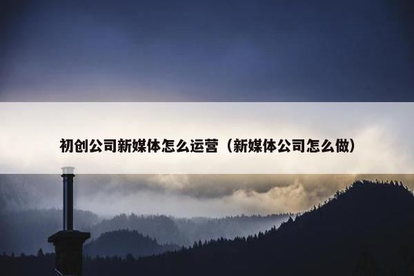 初创公司新媒体怎么运营（新媒体公司怎么做）