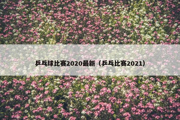 乒乓球比赛2020最新（乒乓比赛2021）