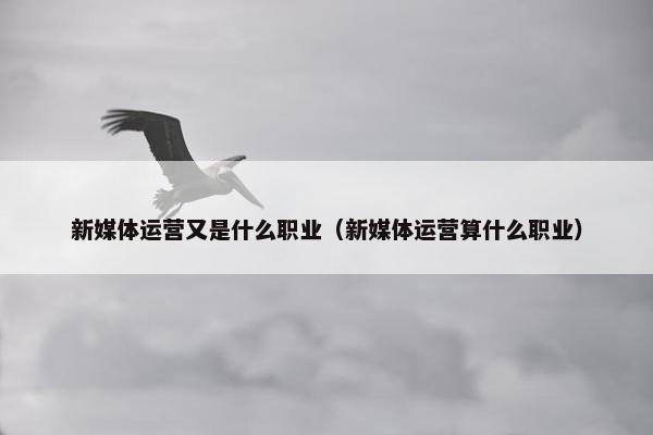 新媒体运营又是什么职业（新媒体运营算什么职业）