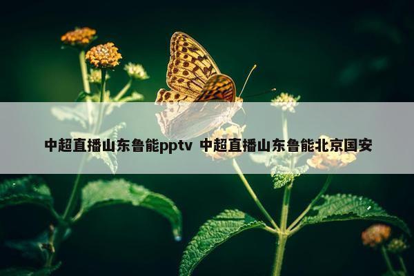 中超直播山东鲁能pptv 中超直播山东鲁能北京国安