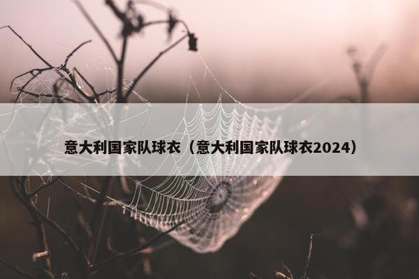 意大利国家队球衣（意大利国家队球衣2024）