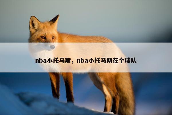 nba小托马斯，nba小托马斯在个球队