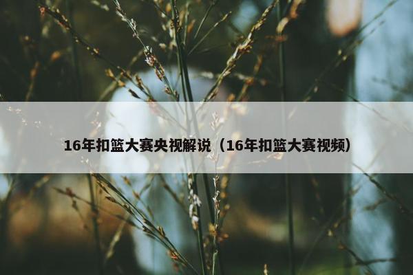 16年扣篮大赛央视解说（16年扣篮大赛视频）