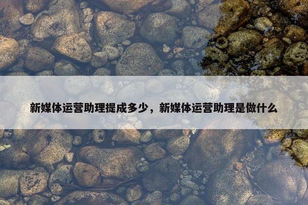 新媒体运营助理提成多少，新媒体运营助理是做什么