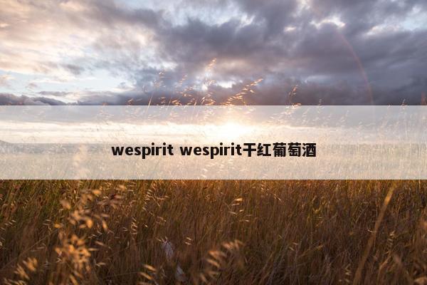 wespirit wespirit干红葡萄酒