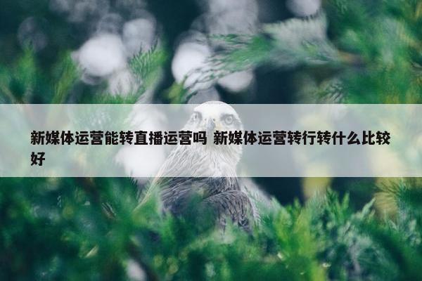 新媒体运营能转直播运营吗 新媒体运营转行转什么比较好