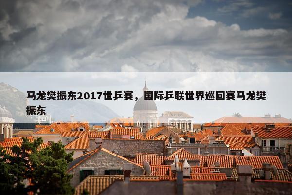 马龙樊振东2017世乒赛，国际乒联世界巡回赛马龙樊振东