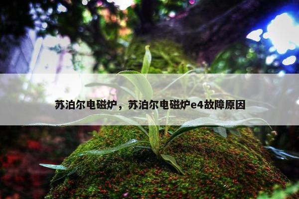 苏泊尔电磁炉，苏泊尔电磁炉e4故障原因