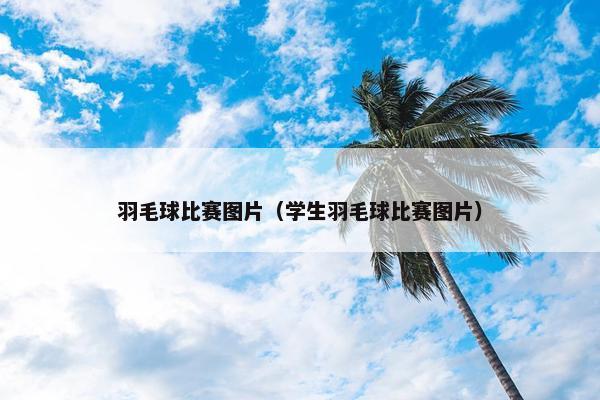 羽毛球比赛图片（学生羽毛球比赛图片）