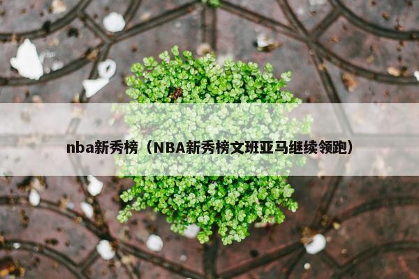 nba新秀榜（NBA新秀榜文班亚马继续领跑）