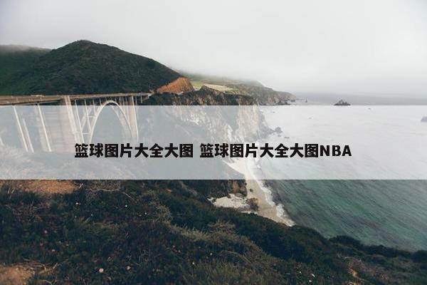 篮球图片大全大图 篮球图片大全大图NBA