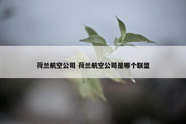 荷兰航空公司 荷兰航空公司是哪个联盟