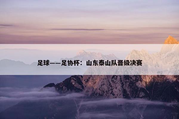 足球——足协杯：山东泰山队晋级决赛