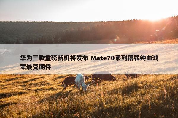 华为三款重磅新机将发布 Mate70系列搭载纯血鸿蒙最受期待