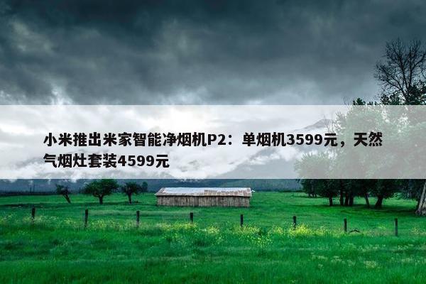 小米推出米家智能净烟机P2：单烟机3599元，天然气烟灶套装4599元