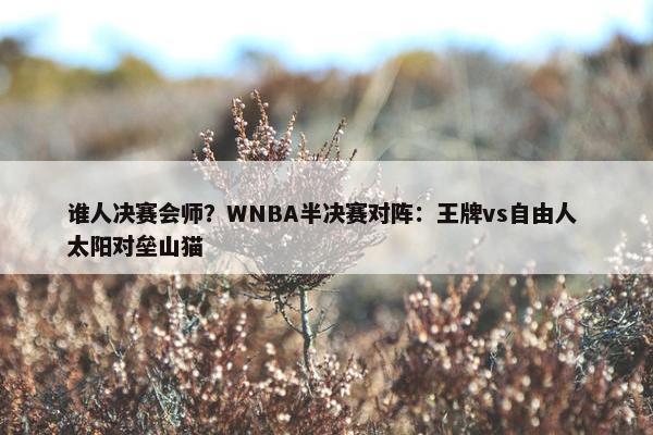 谁人决赛会师？WNBA半决赛对阵：王牌vs自由人 太阳对垒山猫