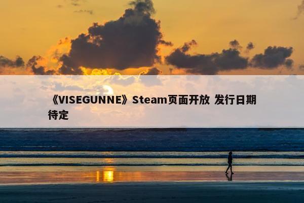 《VISEGUNNE》Steam页面开放 发行日期待定