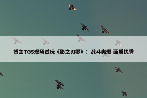 博主TGS现场试玩《影之刃零》：战斗爽爆 画质优秀