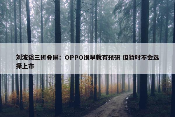 刘波谈三折叠屏：OPPO很早就有预研 但暂时不会选择上市