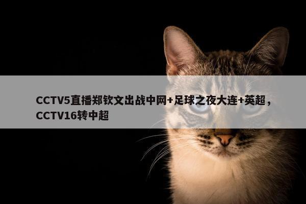 CCTV5直播郑钦文出战中网+足球之夜大连+英超，CCTV16转中超