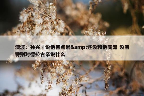 澳波：孙兴慜说他有点累&还没和他交流 没有特别对德拉古辛说什么